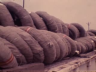 media 213546 thumbnail image