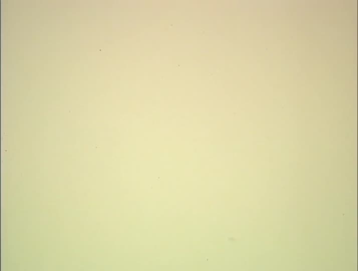 media 213609 thumbnail image