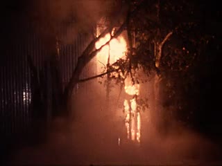 media 213640 thumbnail image