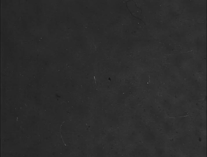 media 213767 thumbnail image
