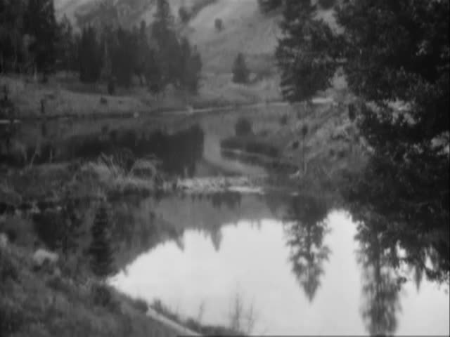 media thumbnail