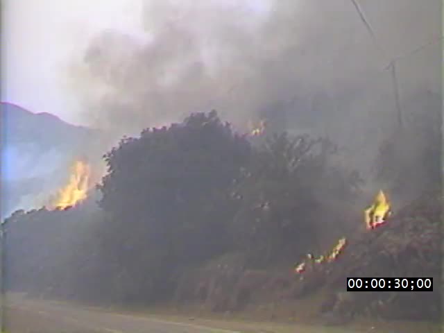 media 221699 thumbnail image