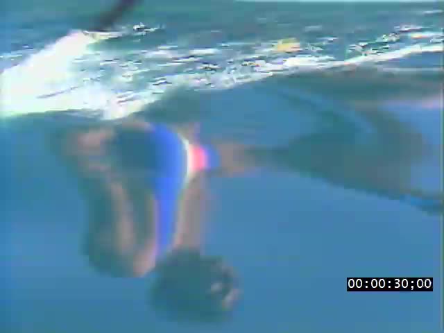 media 221717 thumbnail image