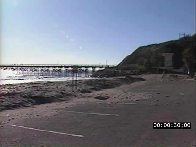 media 221762 thumbnail image