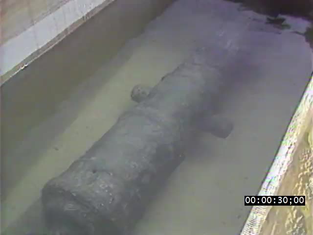 media 221826 thumbnail image