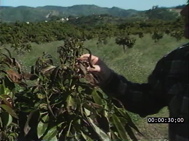 media 221857 thumbnail image