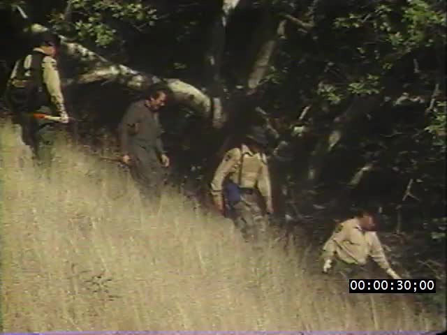 media 221881 thumbnail image