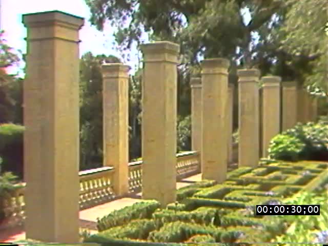 media 221907 thumbnail image