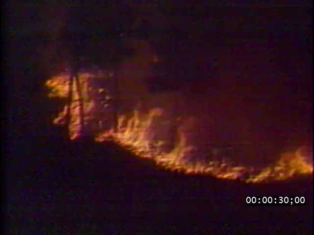 media 221936 thumbnail image