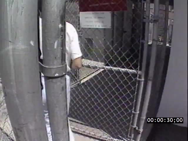 media 221974 thumbnail image
