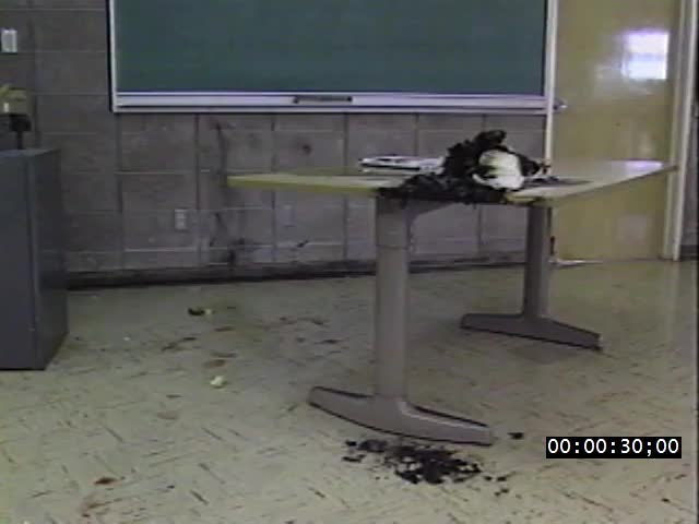 media 221975 thumbnail image