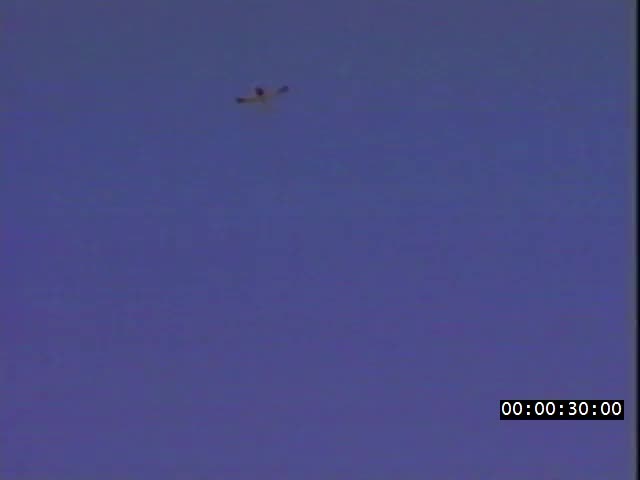 media 221980 thumbnail image