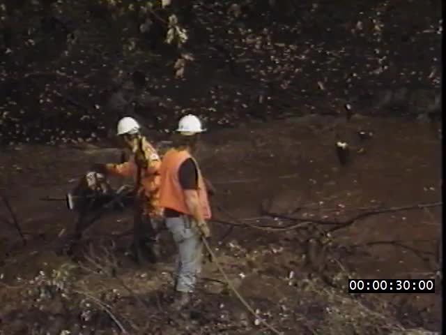 media 221993 thumbnail image
