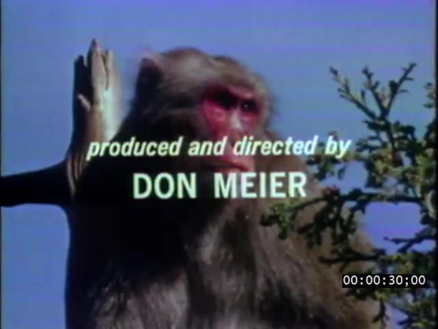 media 222132 thumbnail image