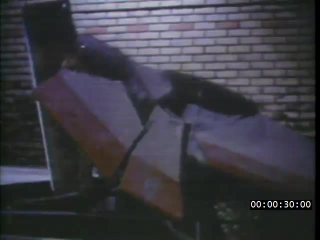 media 222181 thumbnail image