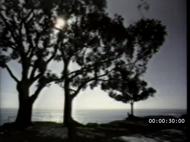 media 222356 thumbnail image