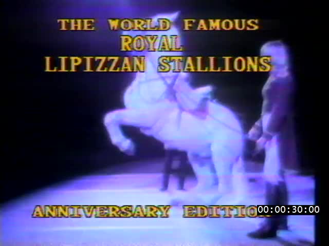 media 222528 thumbnail image