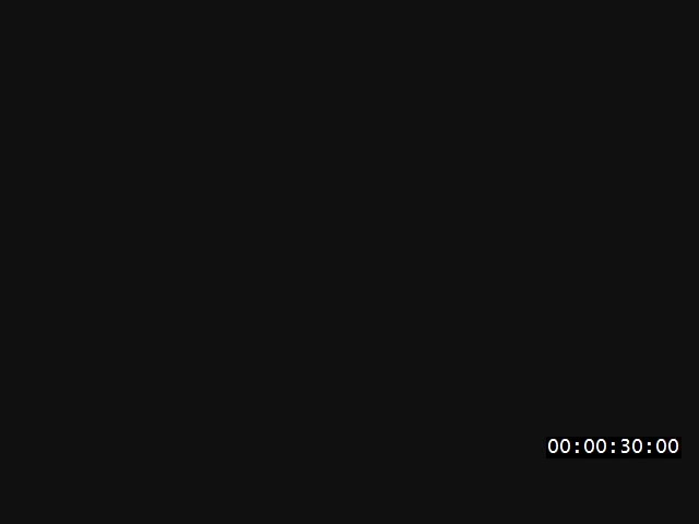 media 222557 thumbnail image
