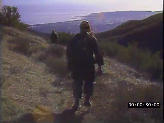 media 223161 thumbnail image