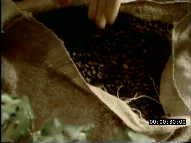 media 223180 thumbnail image