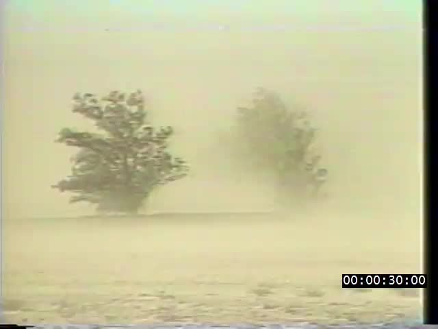 media 223186 thumbnail image