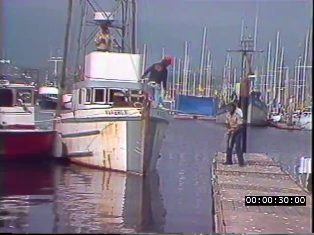 media 223240 thumbnail image