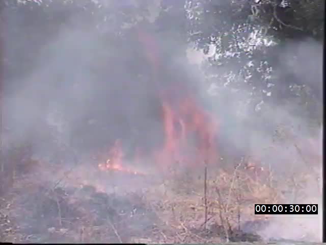 media 223282 thumbnail image