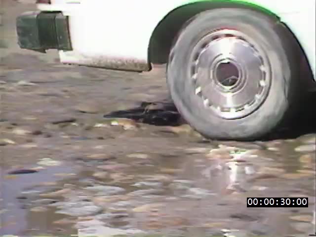 media 223294 thumbnail image