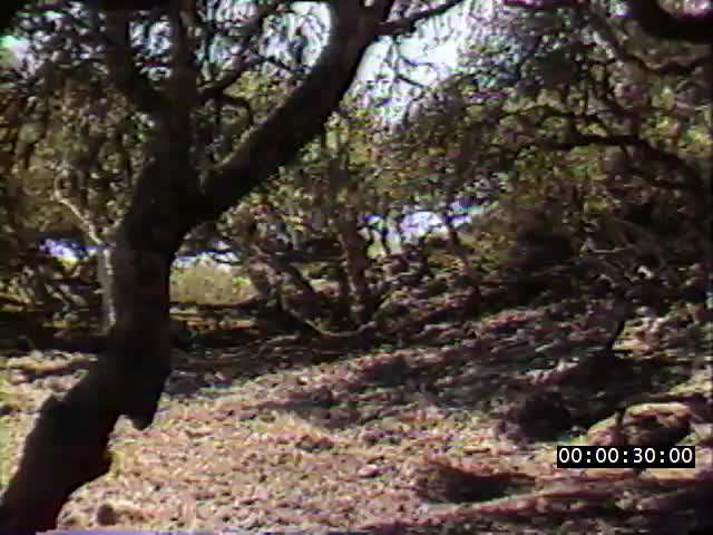 media 223866 thumbnail image