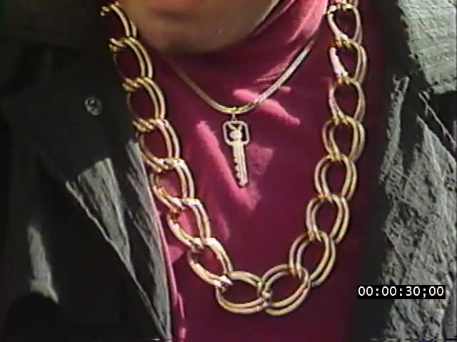 media 223871 thumbnail image