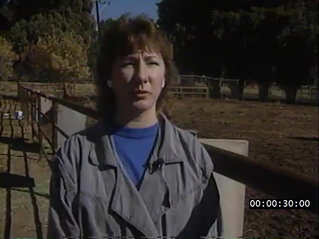 media 223889 thumbnail image
