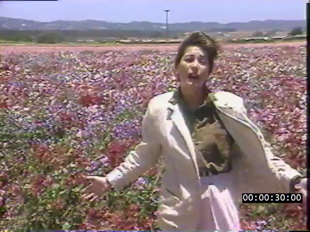 media 223946 thumbnail image
