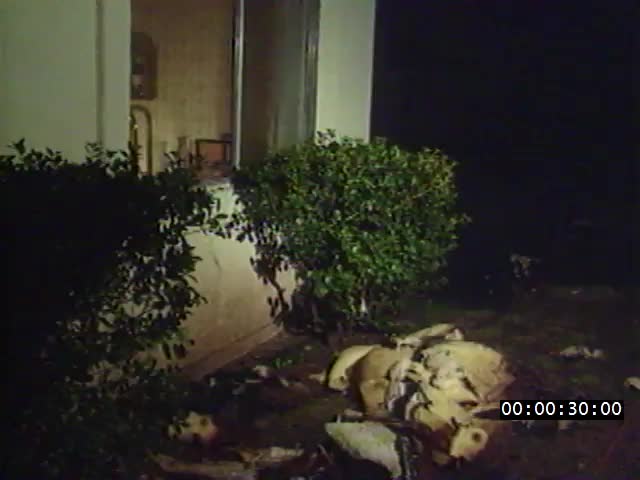 media 223976 thumbnail image