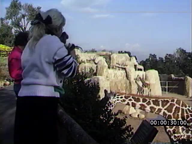 media 223983 thumbnail image