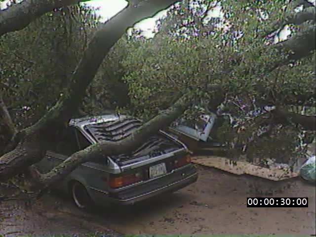 media 223998 thumbnail image