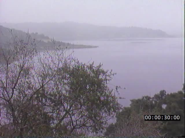 media 224028 thumbnail image