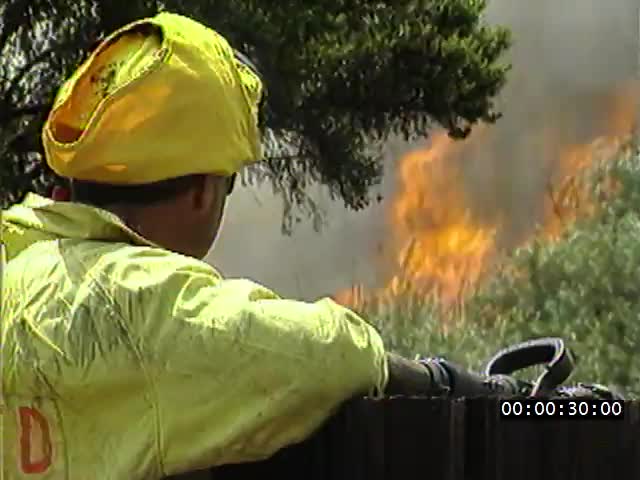 media 224042 thumbnail image
