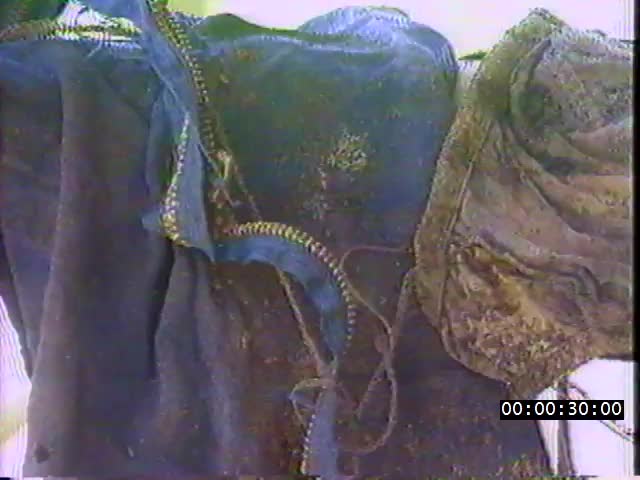media 224045 thumbnail image