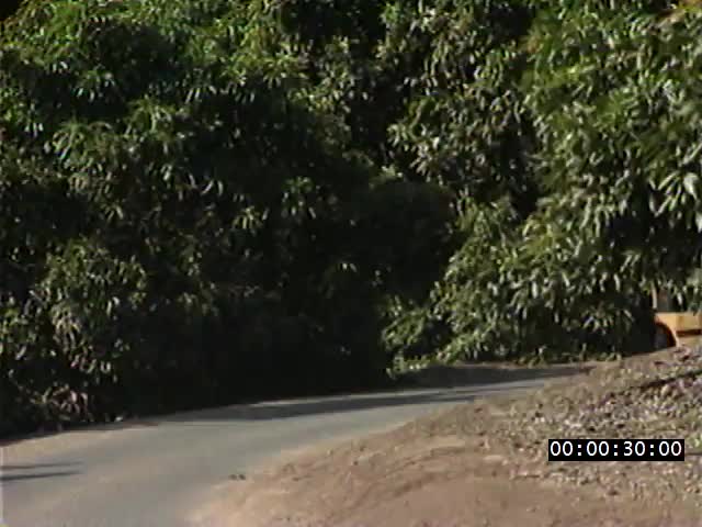 media 224047 thumbnail image