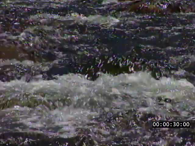 media 224227 thumbnail image