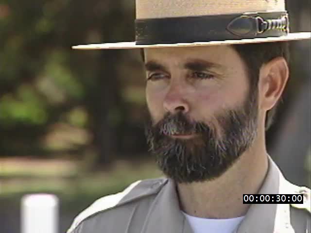 media 224236 thumbnail image