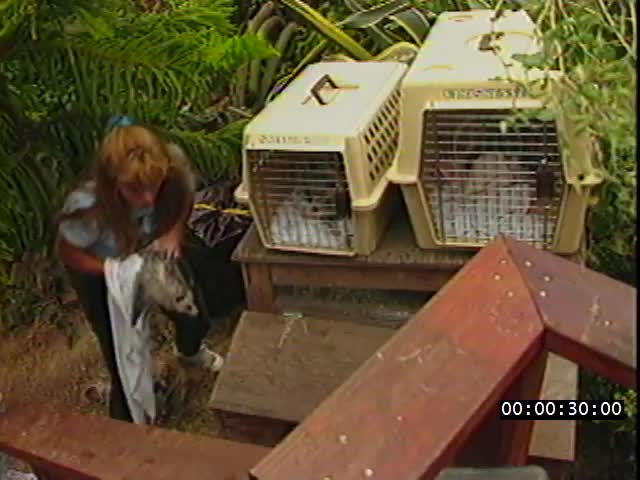 media 224244 thumbnail image