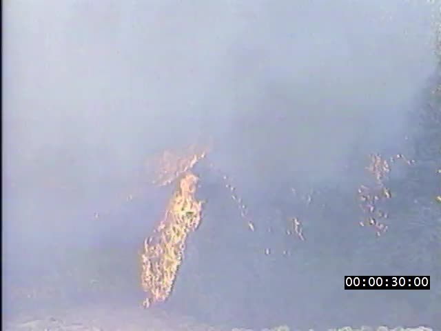 media 224261 thumbnail image