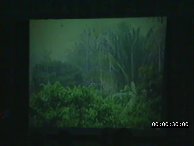 media 224273 thumbnail image