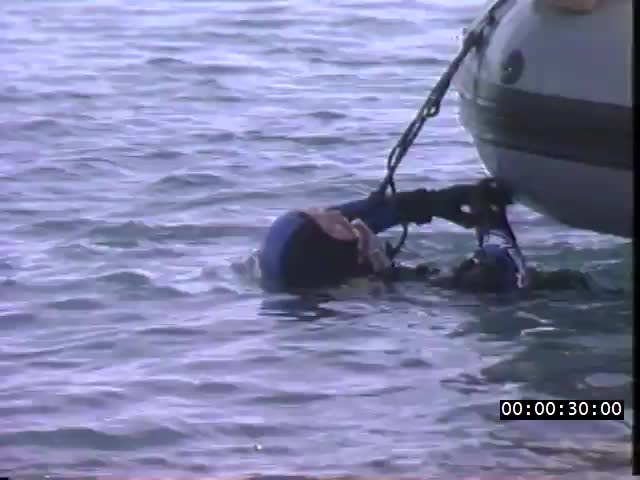 media 224280 thumbnail image