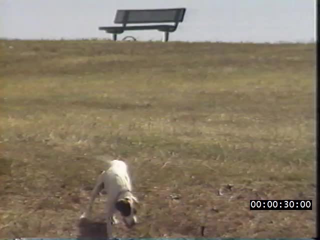 media 224288 thumbnail image