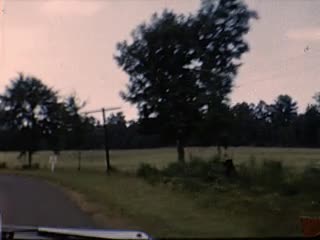media 225782 thumbnail image