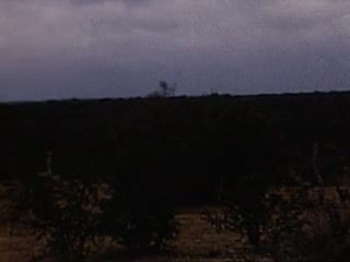 media 225817 thumbnail image
