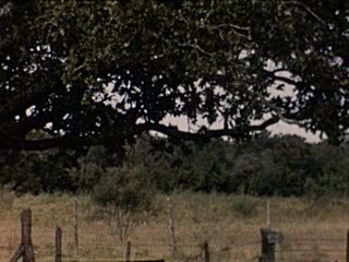 media 225824 thumbnail image