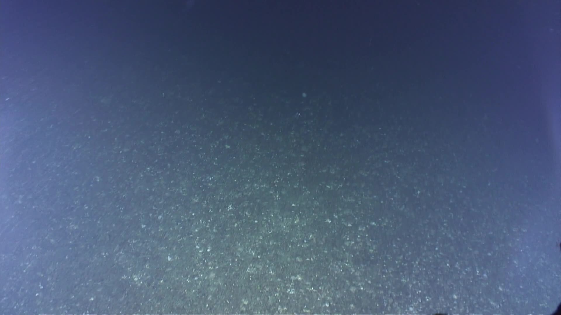 media 229753 thumbnail image